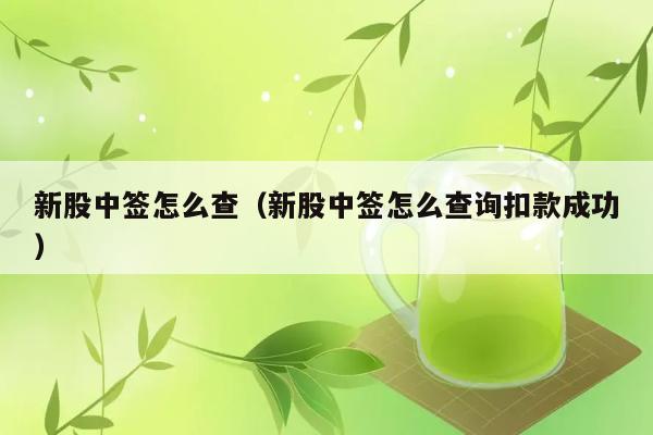 新股中签怎么查（新股中签怎么查询扣款成功） 