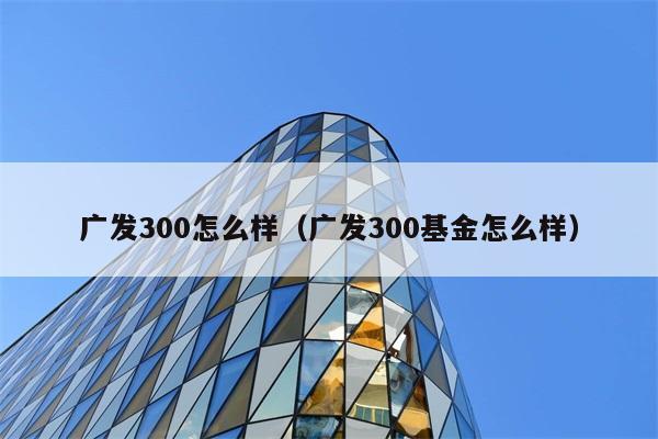 广发300怎么样（广发300基金怎么样） 