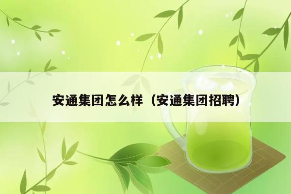 安通集团怎么样（安通集团招聘） 