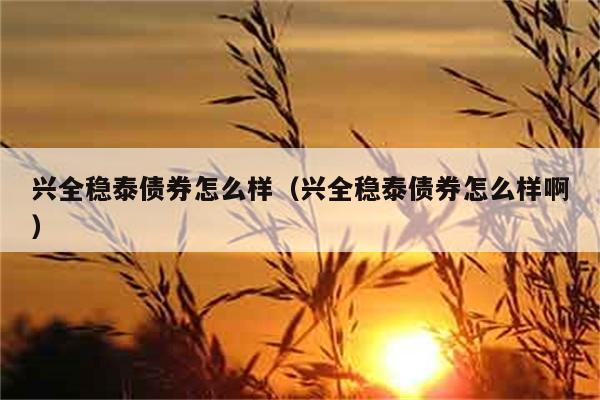 兴全稳泰债券怎么样（兴全稳泰债券怎么样啊） 