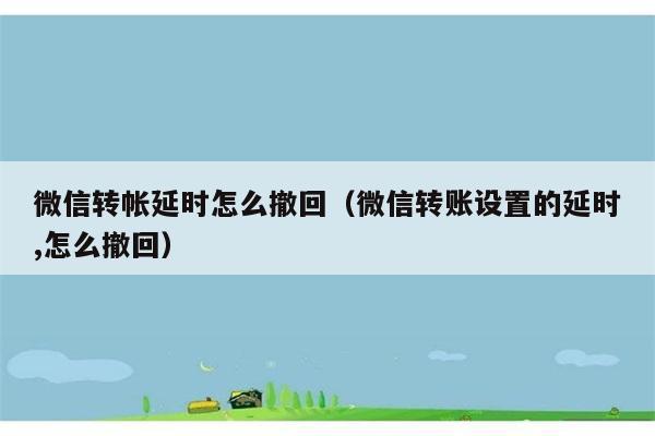 微信转帐延时怎么撤回（微信转账设置的延时,怎么撤回） 