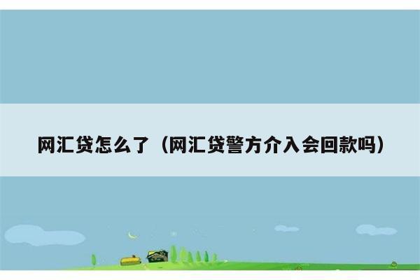 网汇贷怎么了（网汇贷警方介入会回款吗） 