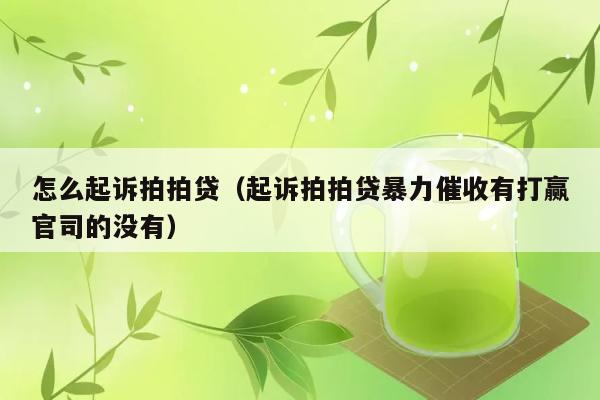 怎么起诉拍拍贷（起诉拍拍贷暴力催收有打赢官司的没有） 