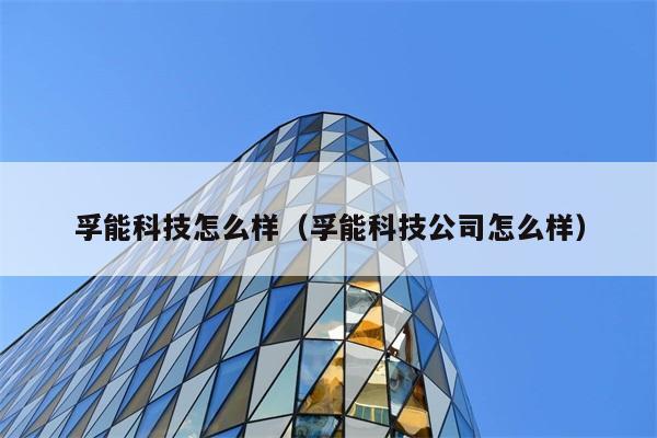 孚能科技怎么样（孚能科技公司怎么样） 