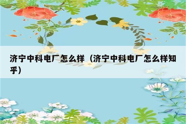 济宁中科电厂怎么样（济宁中科电厂怎么样知乎） 