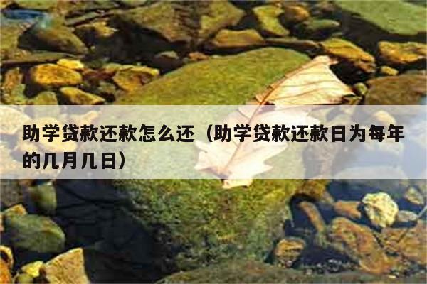 助学贷款还款怎么还（助学贷款还款日为每年的几月几日） 