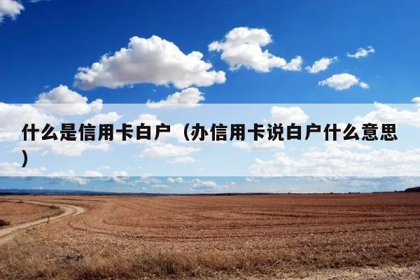 什么是信用卡白户（办信用卡说白户什么意思） 