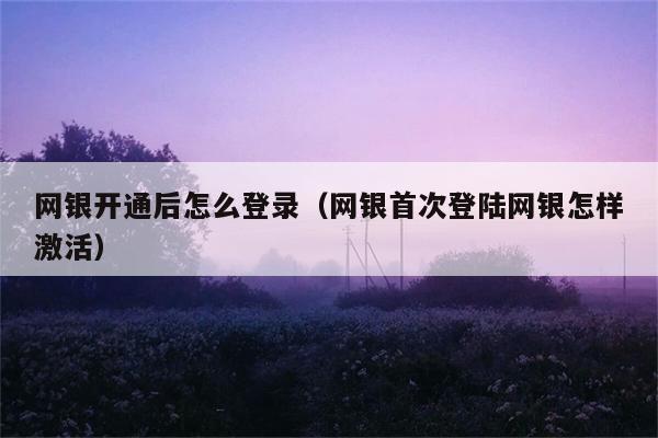 网银开通后怎么登录（网银首次登陆网银怎样激活） 