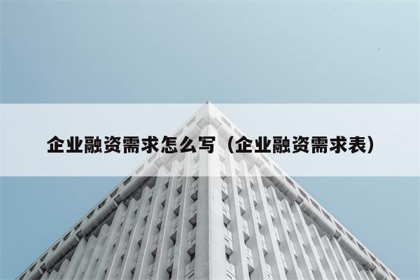 企业融资需求怎么写（企业融资需求表） 