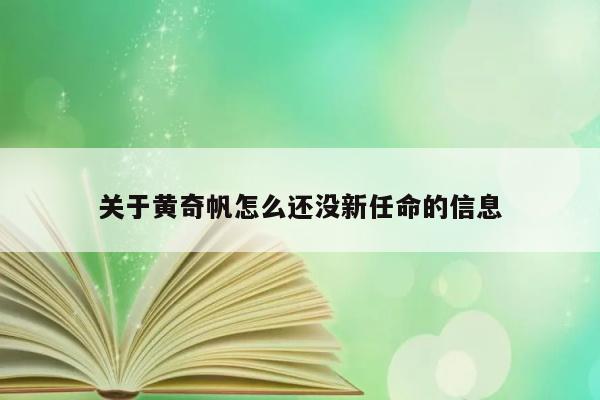 关于黄奇帆怎么还没新任命的信息 