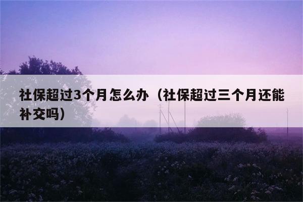 社保超过3个月怎么办（社保超过三个月还能补交吗） 