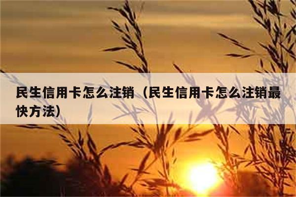 民生信用卡怎么注销（民生信用卡怎么注销最快方法） 