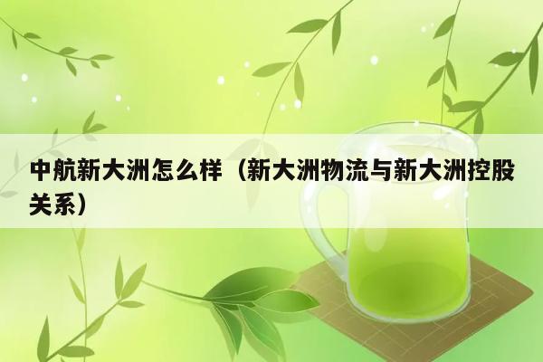 中航新大洲怎么样（新大洲物流与新大洲控股关系） 