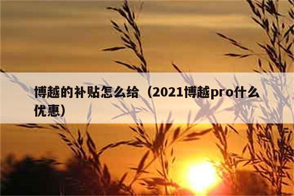 博越的补贴怎么给（2021博越pro什么优惠） 