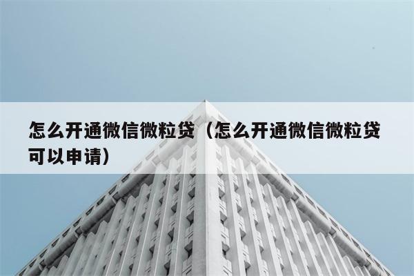 怎么开通微信微粒贷（怎么开通微信微粒贷 可以申请） 