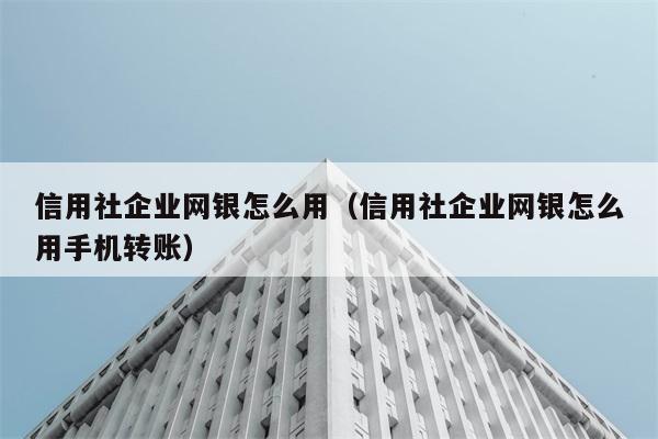 信用社企业网银怎么用（信用社企业网银怎么用手机转账） 