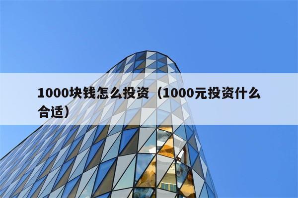 1000块钱怎么投资（1000元投资什么合适） 