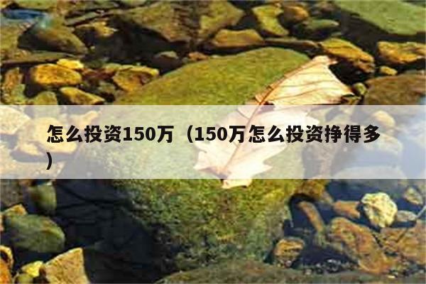 怎么投资150万（150万怎么投资挣得多） 