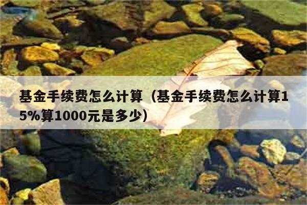 基金手续费怎么计算（基金手续费怎么计算15%算1000元是多少） 