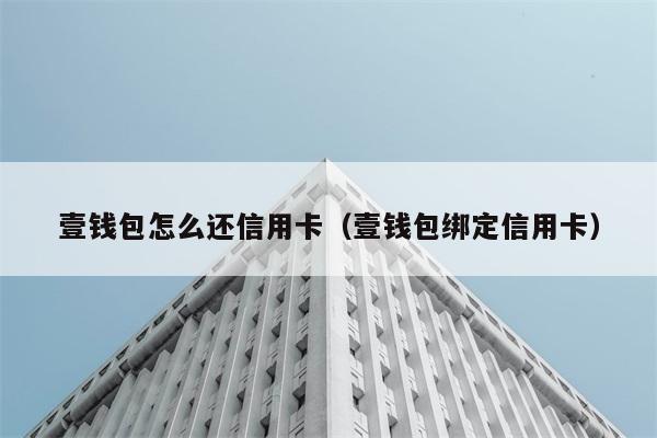 壹钱包怎么还信用卡（壹钱包绑定信用卡） 