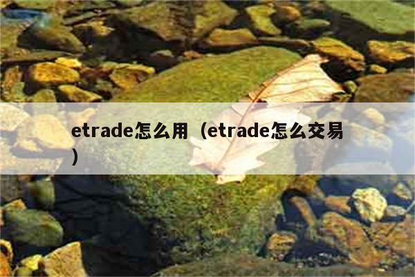 etrade怎么用（etrade怎么交易） 