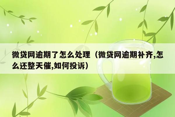 微贷网逾期了怎么处理（微贷网逾期补齐,怎么还整天催,如何投诉） 