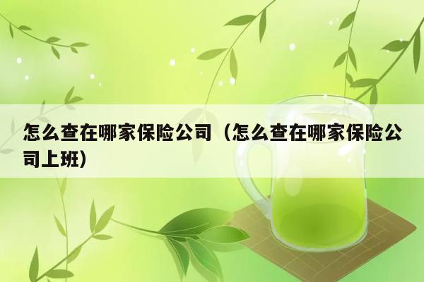 怎么查在哪家保险公司（怎么查在哪家保险公司上班） 