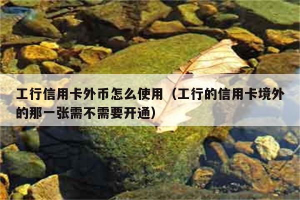 工行信用卡外币怎么使用（工行的信用卡境外的那一张需不需要开通） 