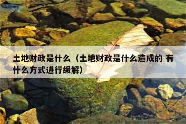 土地财政是什么（土地财政是什么造成的 有什么方式进行缓解） 