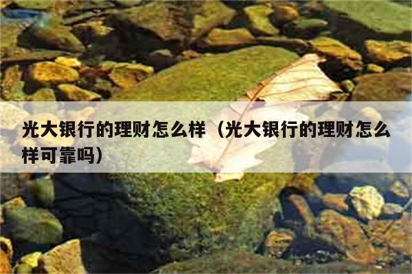 光大银行的理财怎么样（光大银行的理财怎么样可靠吗） 