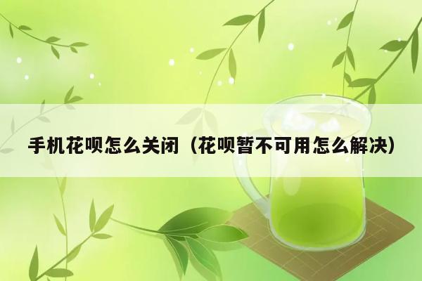 手机花呗怎么关闭（花呗暂不可用怎么解决） 