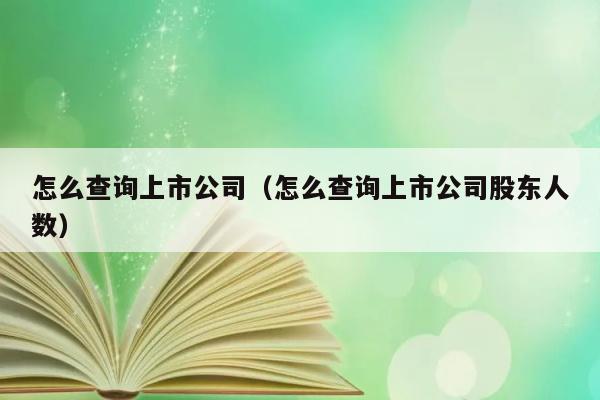 怎么查询上市公司（怎么查询上市公司股东人数） 