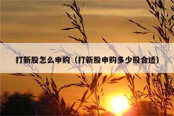 打新股怎么申购（打新股申购多少股合适） 