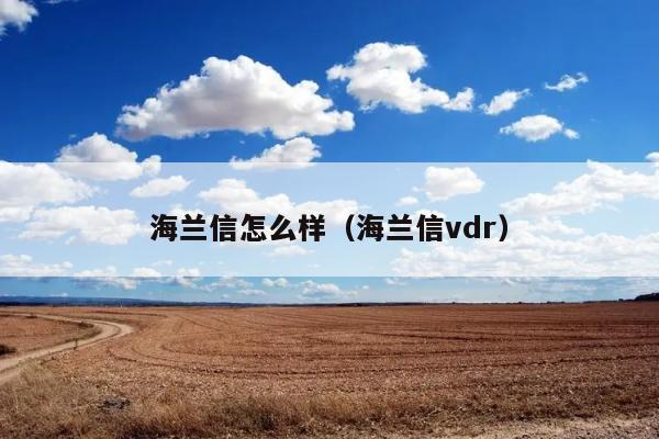 海兰信怎么样（海兰信vdr） 