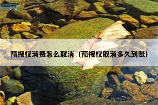 预授权消费怎么取消（预授权取消多久到账） 