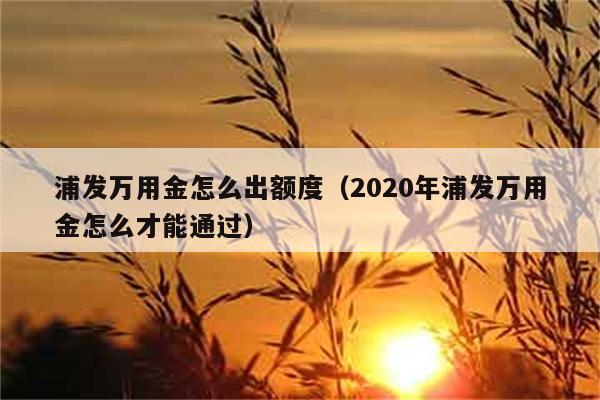 浦发万用金怎么出额度（2020年浦发万用金怎么才能通过） 