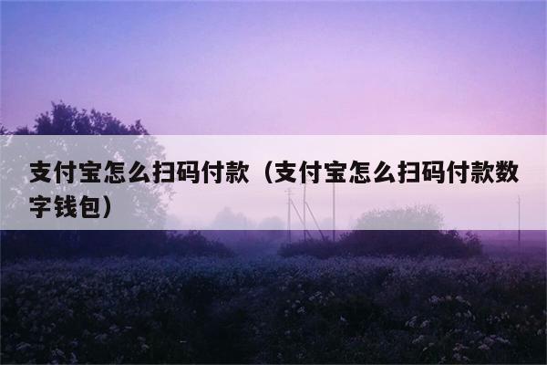 支付宝怎么扫码付款（支付宝怎么扫码付款数字钱包） 