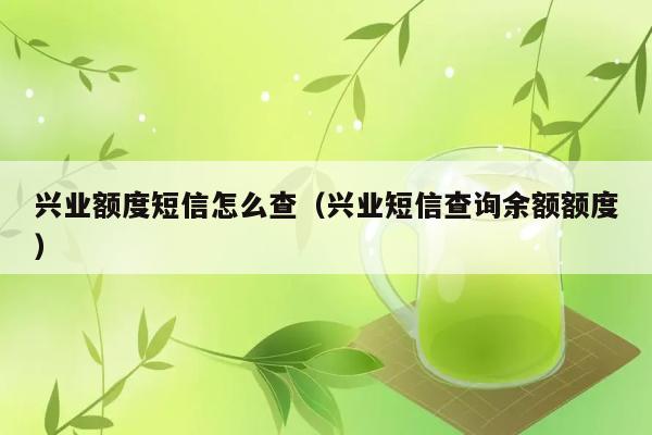 兴业额度短信怎么查（兴业短信查询余额额度） 