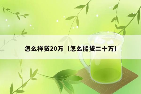 怎么样贷20万（怎么能贷二十万） 