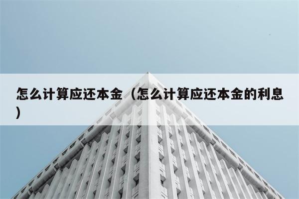 怎么计算应还本金（怎么计算应还本金的利息） 