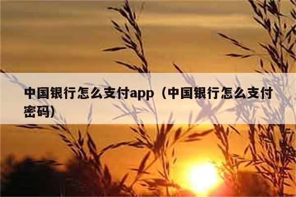 中国银行怎么支付app（中国银行怎么支付密码） 