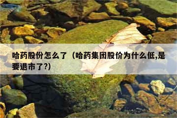 哈药股份怎么了（哈药集团股价为什么低,是要退市了?） 