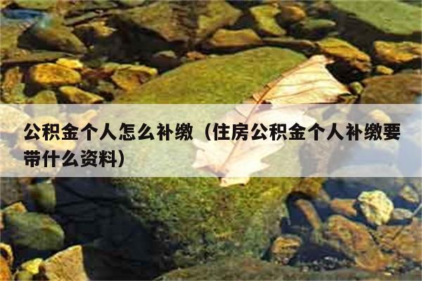 公积金个人怎么补缴（住房公积金个人补缴要带什么资料） 