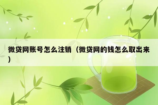 微贷网账号怎么注销（微贷网的钱怎么取出来） 