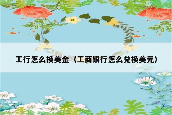 工行怎么换美金（工商银行怎么兑换美元） 