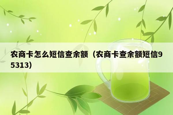 农商卡怎么短信查余额（农商卡查余额短信95313） 