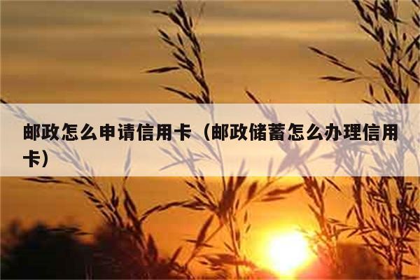 邮政怎么申请信用卡（邮政储蓄怎么办理信用卡） 