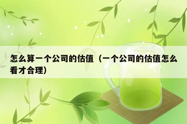 怎么算一个公司的估值（一个公司的估值怎么看才合理） 