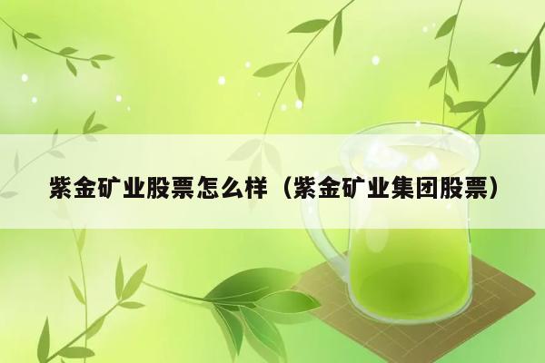 紫金矿业股票怎么样（紫金矿业集团股票） 