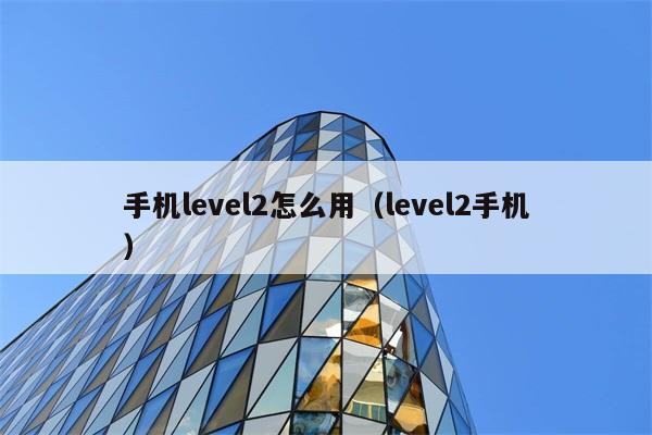 手机level2怎么用（level2手机） 